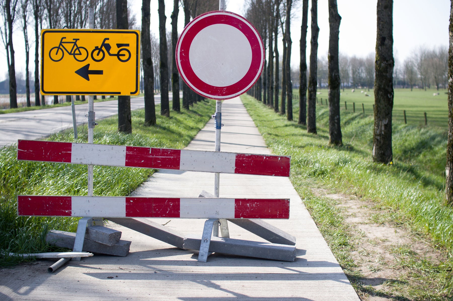 Schilderwald Deutschland: Welche Schilder gibt es auf unseren Straßen?