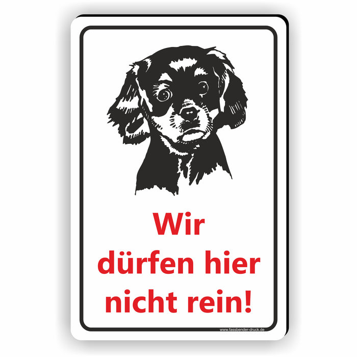 Hunde dürfen hier nicht rein / Keine Hunde