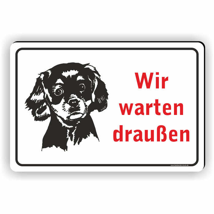 Hunde warten draußen / Keine Hunde