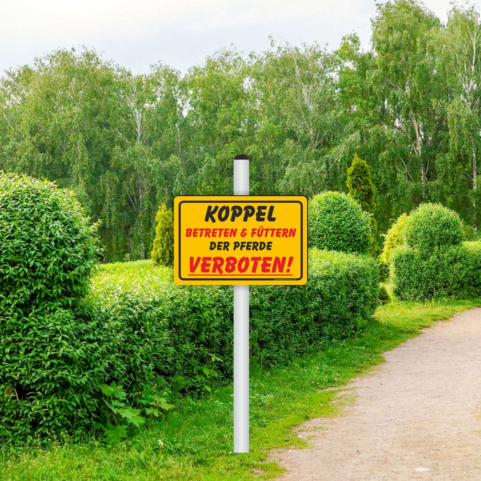 Koppel Betreten und Füttern der Pferde verboten!