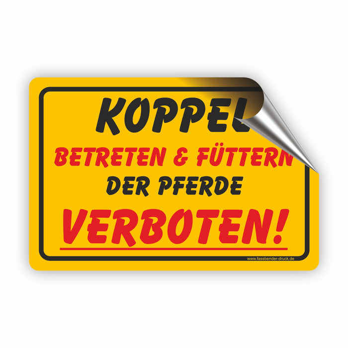 Koppel Betreten und Füttern der Pferde verboten!