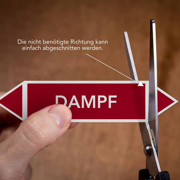 Rohrleitungskennzeichen DAMPF nach DIN EN 2403:2014-06 und TRGS 201- mit 2 spitzen zum selber ausrichten