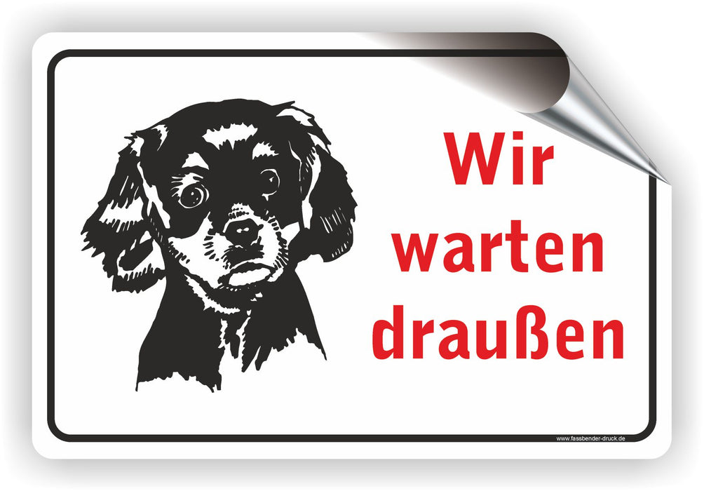 Hunde warten draußen / Keine Hunde